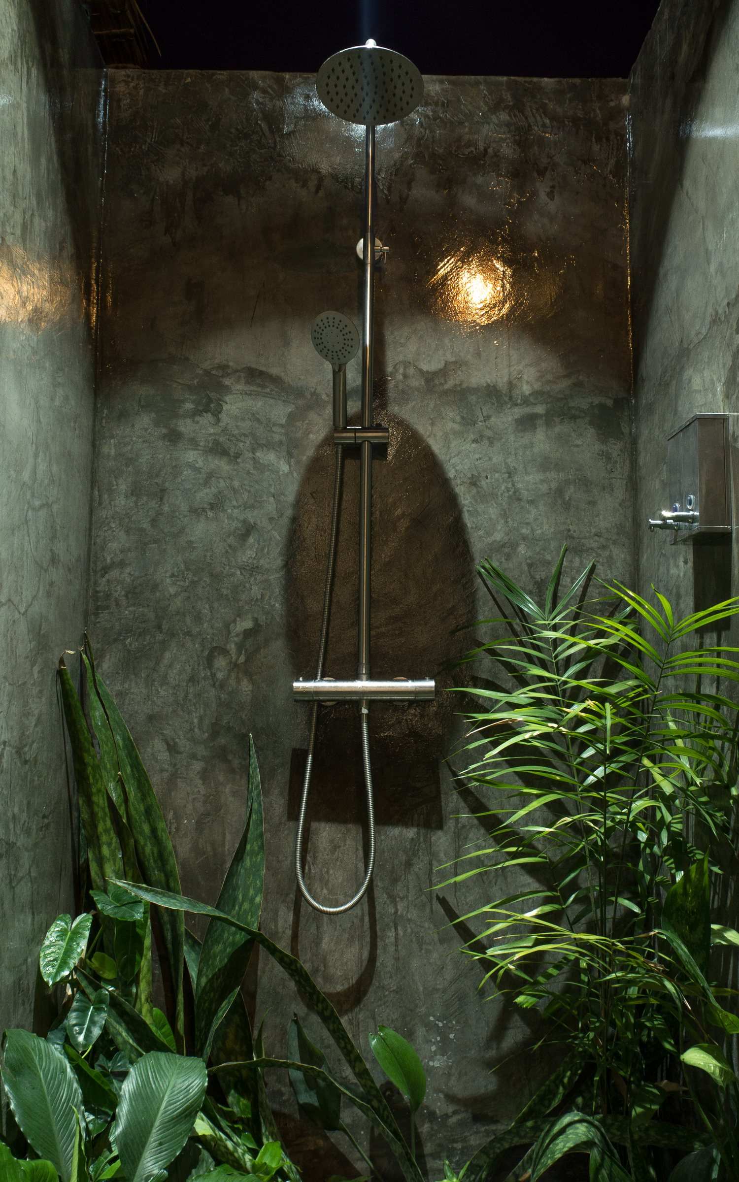 Rain shower among tropical plants