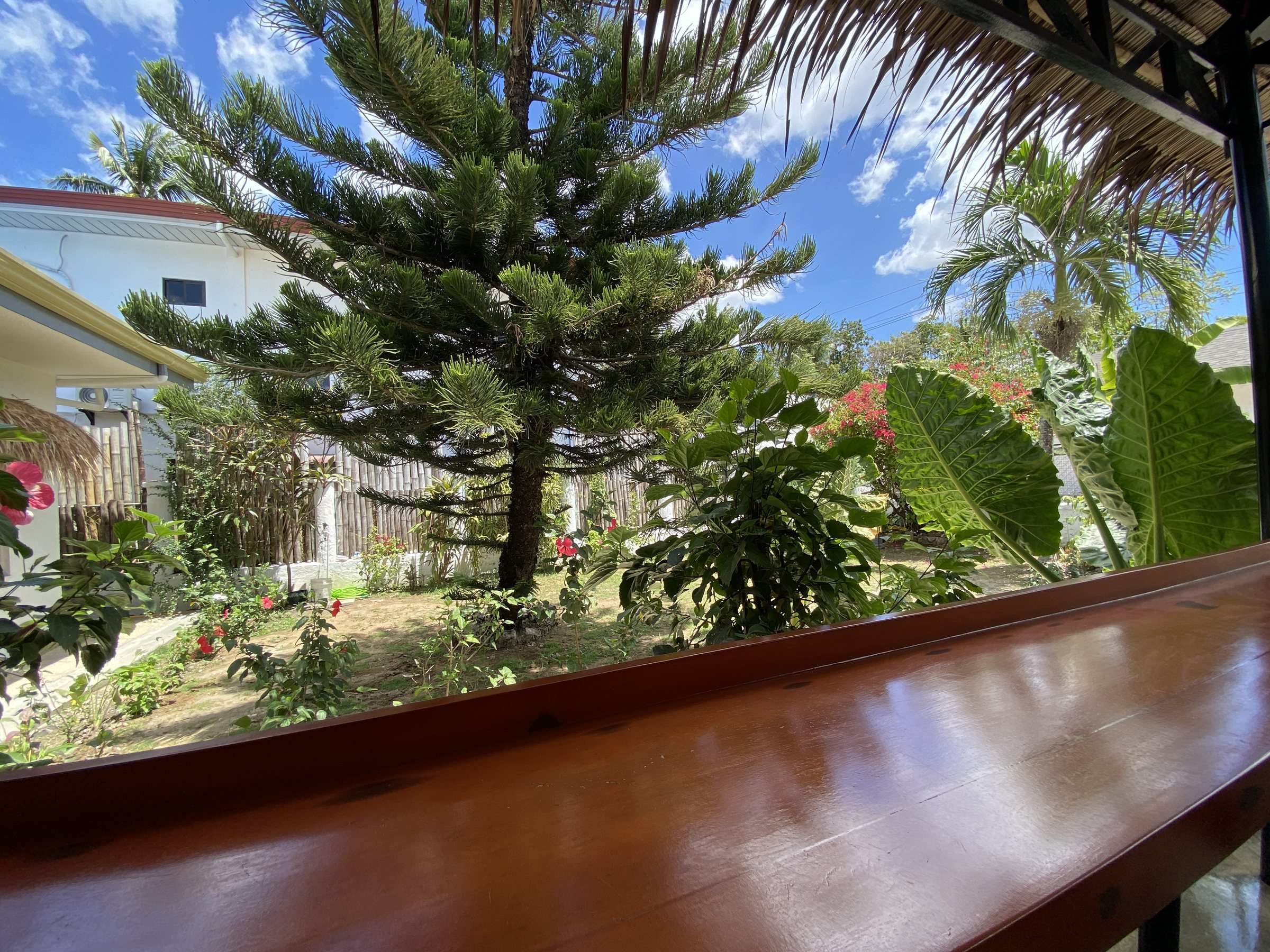 Bar counter with a garden view